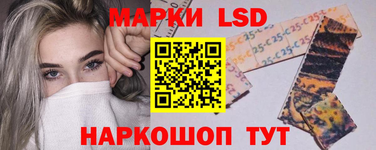 ЛСД экстази кислота  ЛСД экстази кислота  mega ТОР  Новоалександровск  Вход с VPN 